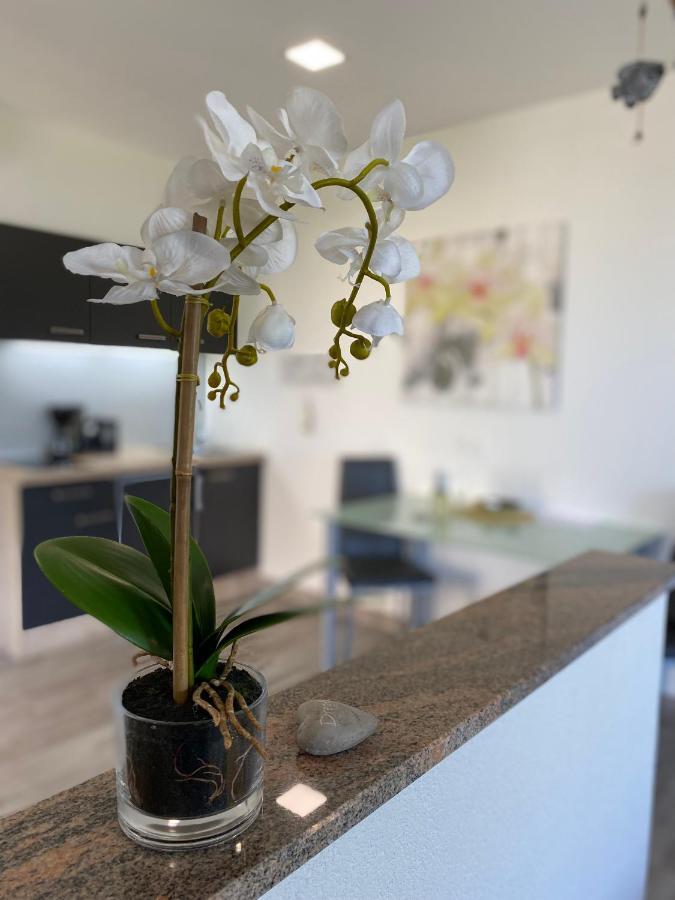 Ražanac Villa Sabina - Apartments Kroatien מראה חיצוני תמונה
