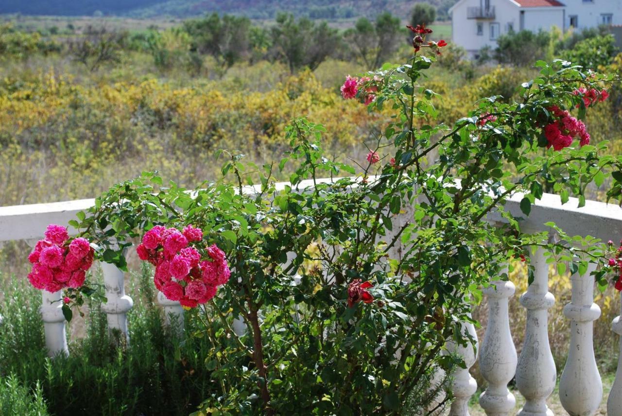 Ražanac Villa Sabina - Apartments Kroatien מראה חיצוני תמונה